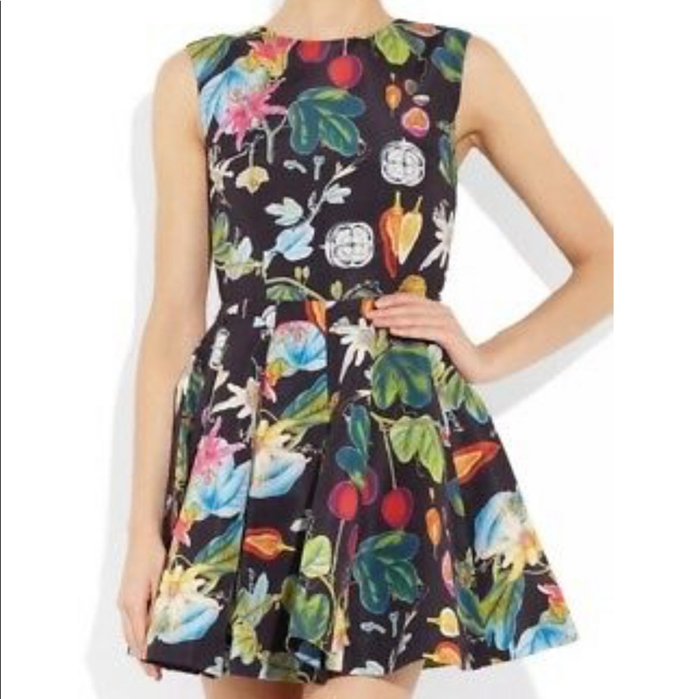 Camilla & Marc Revival Dress 6 Anthropologie